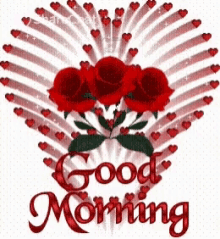 Good Morning Greeting GIF - Good Morning Greeting Red Roses GIFs