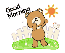 bear morning