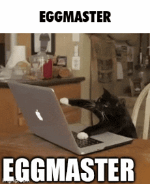 Eggmaster Eggmaster21 GIF