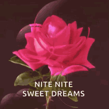 nite sweet dreams sparkles flowers