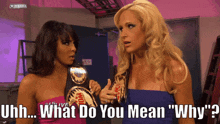 Michelle Mccool Why GIF - Michelle Mccool Why What Do You Mean Why GIFs