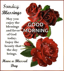 Sunday Blessings Have A Blessed Day GIF - Sunday Blessings Have A Blessed Day Roses GIFs
