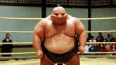 a sumo wrestler stands in a ring with a watermark that says minimax on it