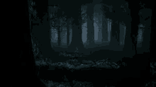 Dark Forest GIF - Dark Forest GIFs