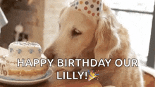 Birthday Cake Happy Birthday GIF - Birthday Cake Happy Birthday Dog Birthday GIFs