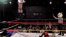 a wrestler with a doge head is jumping over another wrestler in a ring .