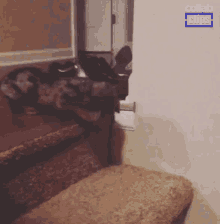 Stairs Jumping GIF - Stairs Jumping Leaping GIFs