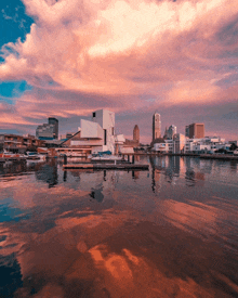 a city skyline is reflected in the water with a dock in the foreground
