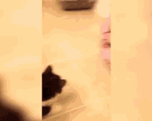 Cat Attack GIF - Cat Attack Baby GIFs