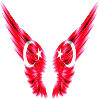 a pair of red wings with a white star and crescent moon on them