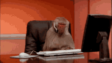Bered Typing GIF - Bered Typing Monkey GIFs