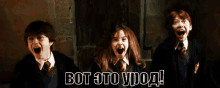 гарри поттер урод шок ужас в ужасе GIF - Harry Potter Ugly Shocked GIFs