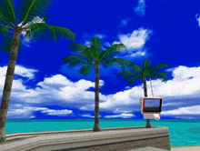 a computer monitor hanging from a palm tree on the beach