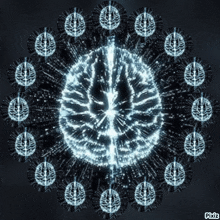 a computer generated image of a brain with pixiz written on the bottom right
