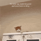 a cat sitting on top of a cabinet with the words he woke up made his point and went back to sleep