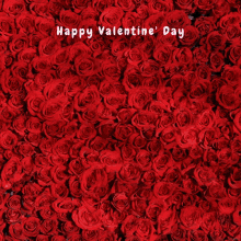 Valentine Valentines Day GIF - Valentine Valentines Day Happy Valentines Day GIFs