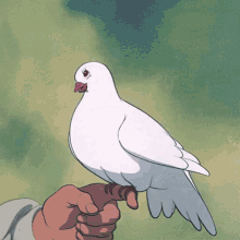 dove blushing