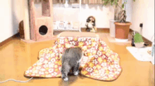 こたつ　冬　ぽかぽか　ポカポカ　暖かい　寒い　猫　ねこ　ネコ GIF - Kotatsu Cat Hide GIFs