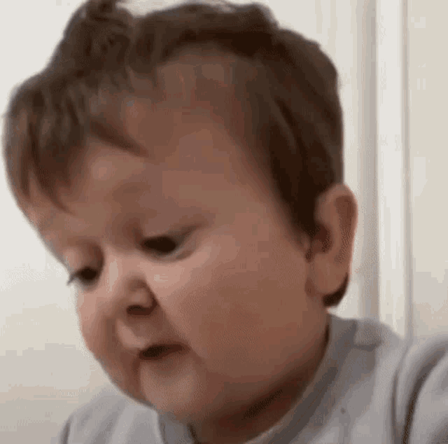 Yamazakifiles Hasbulla GIF Yamazakifiles Hasbulla Discover Share GIFs yamazakifiles-hasbulla-gif-yamazakifiles-hasbulla-discover-share-gifs