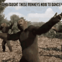 Dancing Monkeys GIFs | Tenor