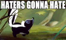 Haters GIF - Haters Hatersgonnahate Skunk GIFs
