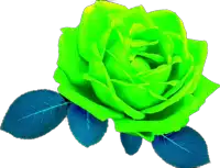 Rosa Sticker