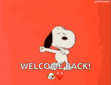 Welcome Back GIF - Welcome Back GIFs