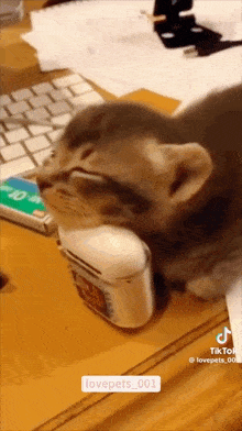 a kitten laying on a desk with a bottle of airpods