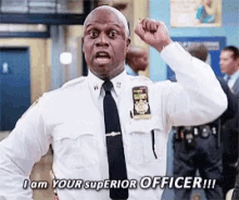 Holt I Am Your Superior Officer GIF - Holt I Am Your Superior Officer Brooklyn99 GIFs