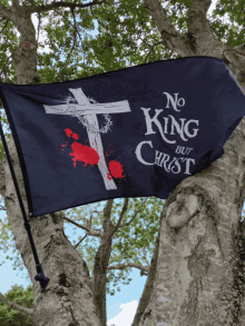 No King But Christ Flag GIF