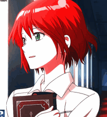 Shirayuki Hime Snow White With The Red Hair GIF