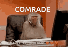 Comrade GIF - Comrade GIFs