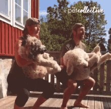Exercise The Pet Collective GIF - Exercise The Pet Collective Lift GIFs