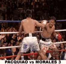 Manny Pacquiao GIF - Manny Pacquiao Manny Pacquiao Vs Erik Morales Pacquiao Vs Morales GIFs