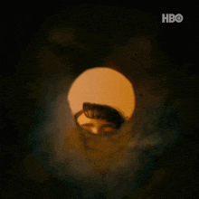 a woman is looking out of a hole in a pipe .