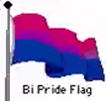 Bi Flag Old School Gif GIF - Bi Flag Old School Gif GIFs