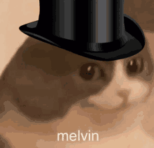 Melvin Approves GIF