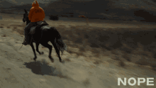 Nope Horse GIF - Nope Horse GIFs