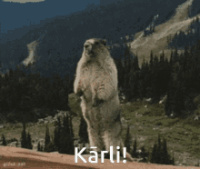Hey Karli GIF - Hey Karli GIFs