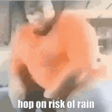 hop on risk of rain