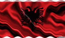 Flamuri Bandiera GIF - Flamuri Bandiera Albanese GIFs