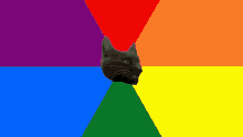 a black cat 's head is surrounded by a rainbow of colors