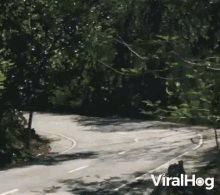 Downhill Racing Downhill GIF