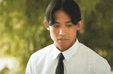 a young man in a white shirt and black tie is standing in front of a tree .