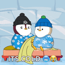 Cold Penguin GIF - Cold Penguin Cozy GIFs