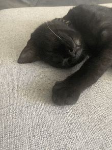 a black cat is sleeping on a couch