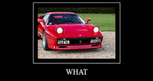 a picture of a red ferrari with the words " what " below it