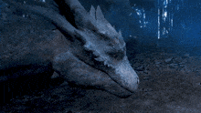 a close up of a dragon 's head in the dark