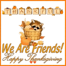a picture of a raccoon in a basket with pumpkins and leaves says we are friends happy thanksgiving .
