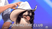 a dog wearing a cowboy hat with the words joining the club behind it